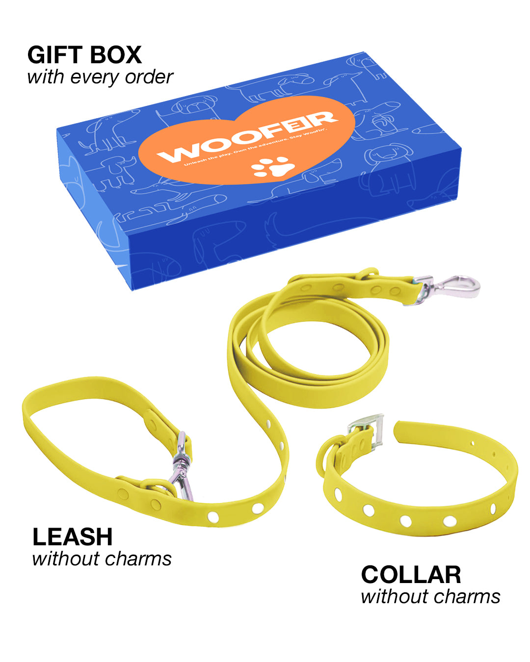 Elements Collection Collar and Leash Set