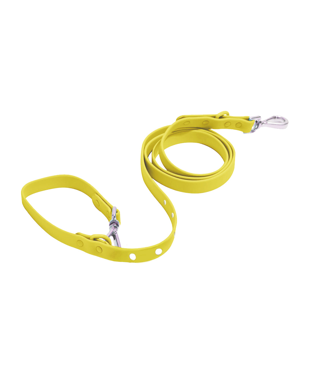 Elements Collection Leash