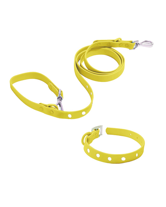 Elements Collection Collar and Leash Set