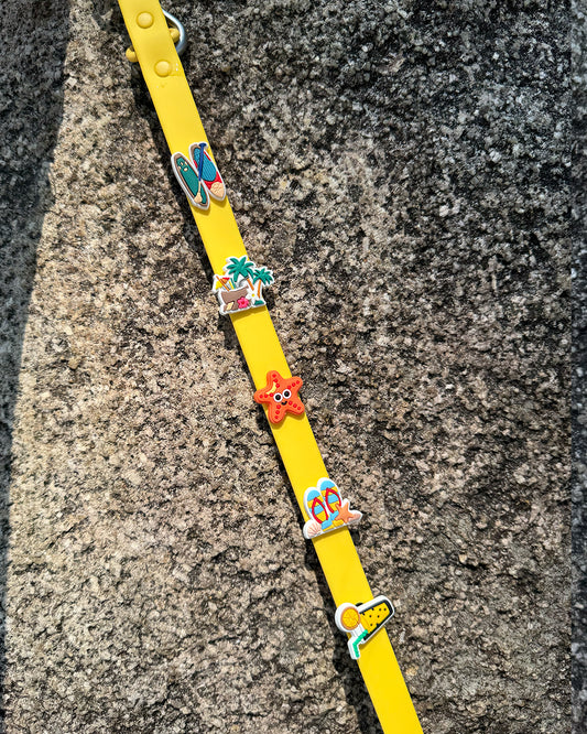 Flare Dog Collar and Leash Set with Woof Bitz